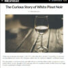 article wine enthusiast blanc de pinot noir